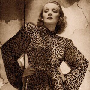 H&M Vintage Style Leopard Blouse Women's Size 8